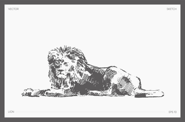 Alto vettore disegnato a mano di leone, schizzo realistico - Vettoriali, immagini