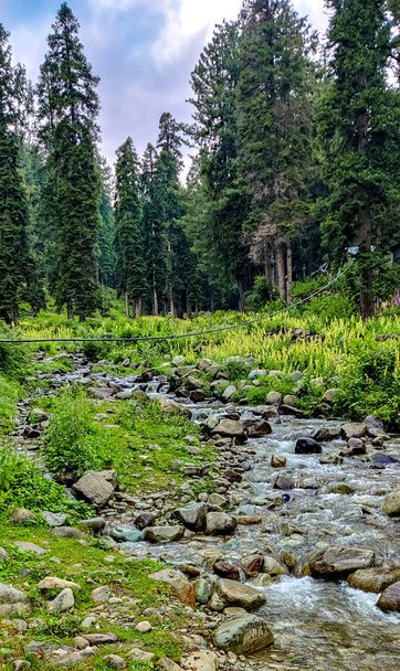 Nice view of the mountain river at jammu kashmir, india - 写真・画像