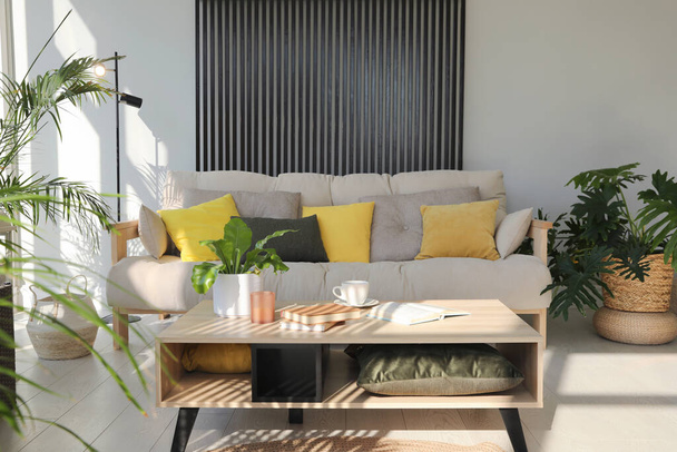 Indoor terrace interior with modern furniture and houseplants - Foto, imagen