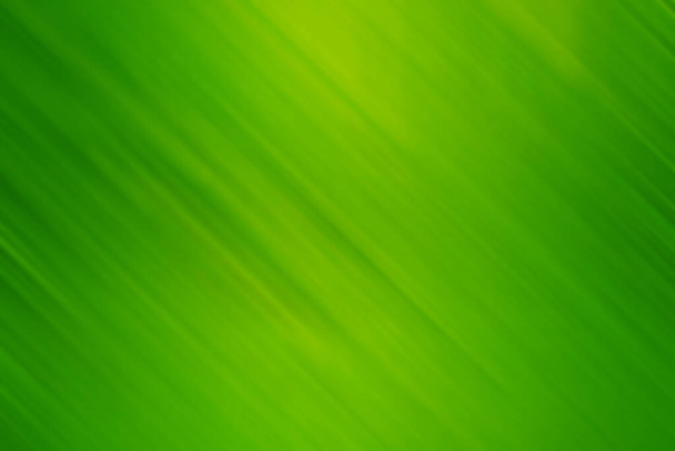 Ανοιχτό πράσινο κίτρινο φυτικό γρασίδι ηλιακό φωτεινό φόντο κλίση με διαγώνιες λωρίδες φωτός. Μπορεί να χρησιμοποιηθεί για ιστοσελίδες, κάρτες, φυλλάδια, αφίσες, εκτύπωση. - Φωτογραφία, εικόνα
