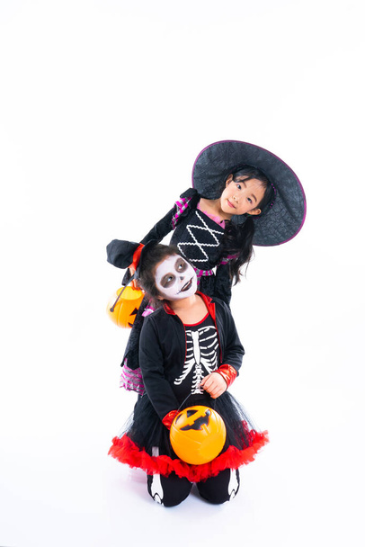 Portrait pair of little girls in Halloween and carnival costume isolated on white background - Valokuva, kuva