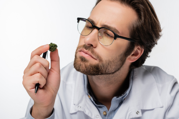 thoughtful doctor in eyeglasses holding dry medical cannabis isolated on white - Fotó, kép