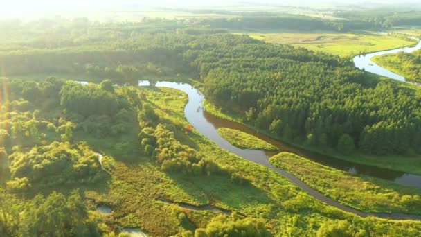 Aerial view of natural river during morning - Felvétel, videó