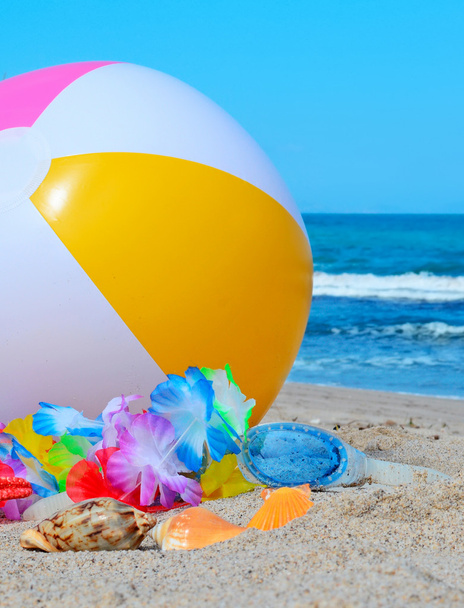 pelota de playa y conchas
 - Foto, Imagen