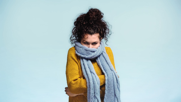 frozen woman hiding face in warm scarf isolated on blue - Foto, immagini