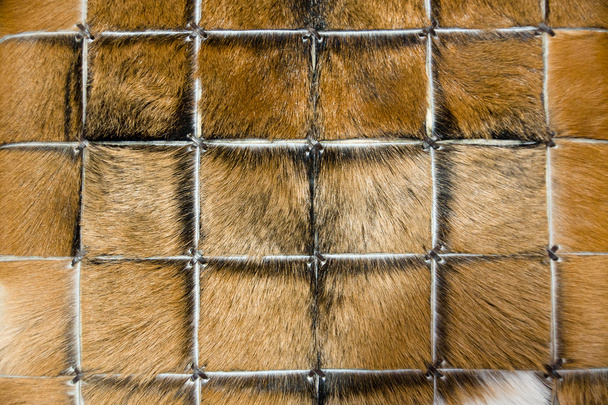 Egy állat szőrme szőnyeg - Fotó, kép