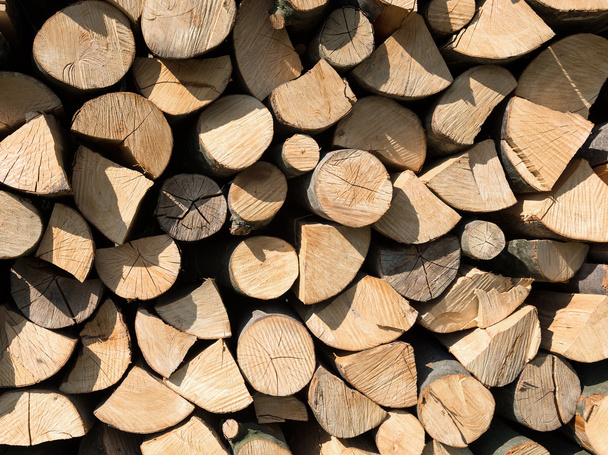 dřevěné kulatiny - Fotografie, Obrázek