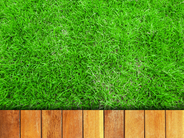 трава і дерева boardwalk - Фото, зображення