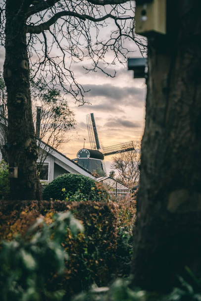 A vertical shot of a windmill seen through a blurred tree in Haarlem, Netherlands - Foto, afbeelding