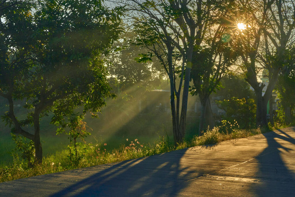 A countryside road during sunset - 写真・画像