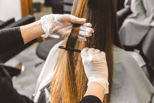 Master hairdresser combs the girls hair after washing and before styling in a beauty salon. - Photo, image
