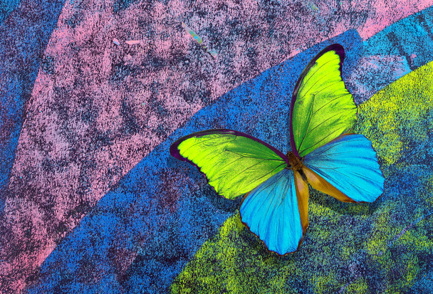 Πολύχρωμο πεταλούδα morpho σε πολύχρωμο παστέλ φόντο. Κίτρινη και μπλε πεταλούδα. - Φωτογραφία, εικόνα