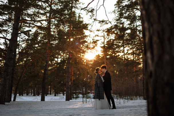 Two lovers standing in a winter forest against the background of the sunset. - Foto, imagen