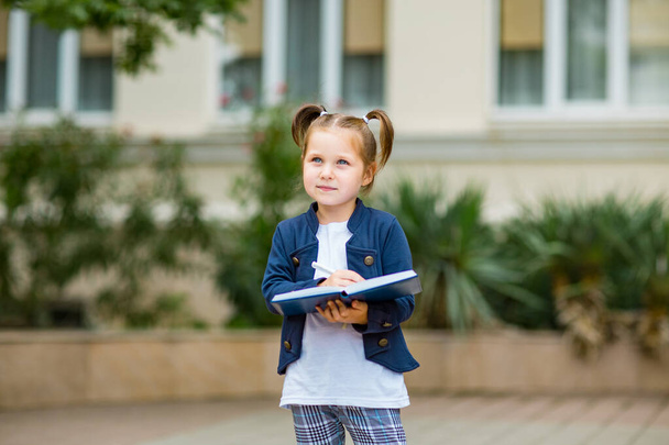 a beautiful little girl, a schoolgirl, in the afternoon near the school, in a school uniform with two ponytails - Fotografie, Obrázek