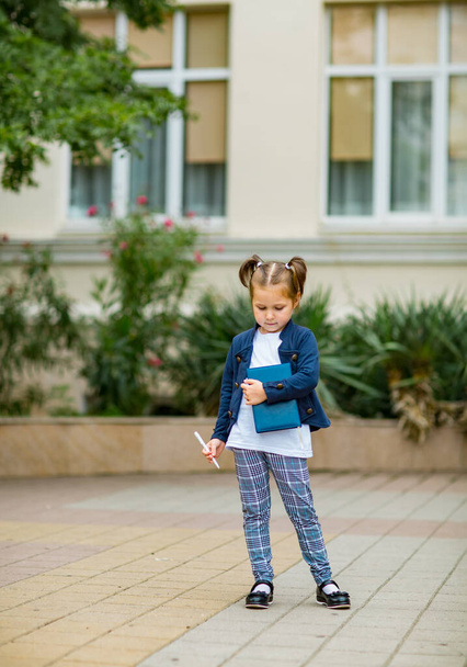 a beautiful little girl, a schoolgirl, in the afternoon near the school, in a school uniform with two ponytails - Photo, image