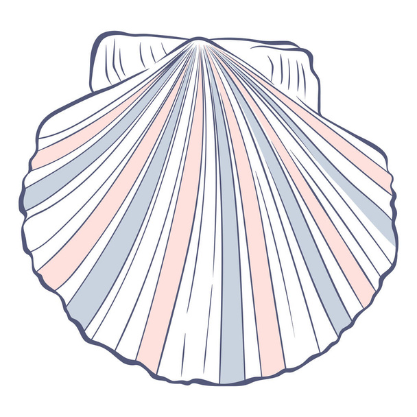 Scallop shell in pastel colors top view - Vector, Image