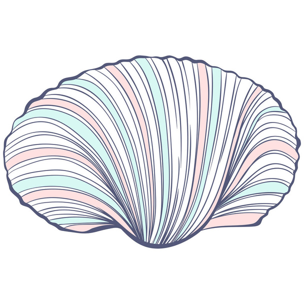 Scallop shell in pastel colors - Vektör, Görsel