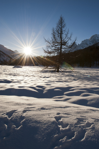 Val Ferret Courmayeur, Valle d'Aosta, Itálie - Fotografie, Obrázek