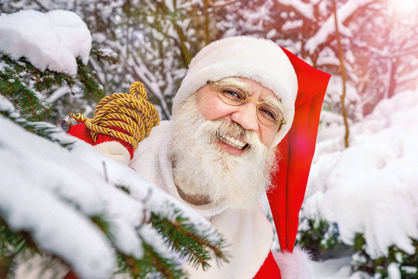 Рождественский Санта-Клаус с настоящей бородой в северном лесу зимой среди заснеженных елей и сосен за городом в дикой природе. Праздничное изображение для рекламного оформления баннеров, открыток или календарей - Фото, изображение