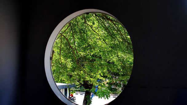  Вид з віконної рамки. кругле вікно. вид на сад зсередини
 - Фото, зображення