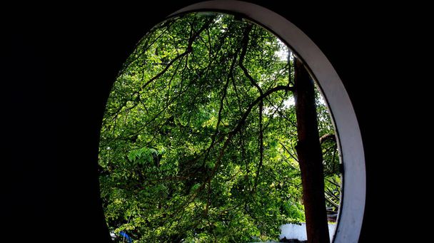  Προβολή από πλαίσιο παραθύρου. στρογγυλό παράθυρο. θέα στον κήπο από μέσα - Φωτογραφία, εικόνα