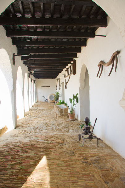 Medina sidonia Sarayı koridor - Fotoğraf, Görsel