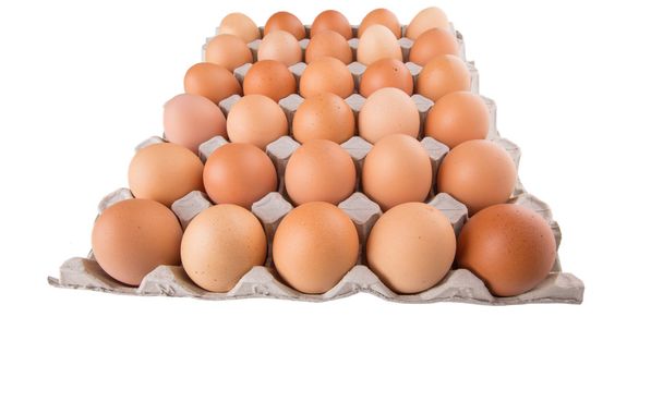 Chicken Egg - Photo, Image
