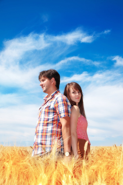 Uomo e donna su un campo di grano
 - Foto, immagini