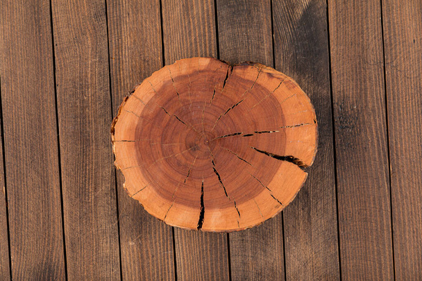 Vue de dessus tranche de bois rond de pin décoratif naturel - Photo, image