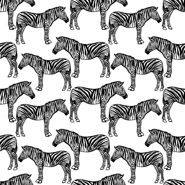 Naadloos zwart-wit patroon met Afrikaanse zebra 's - Foto, afbeelding
