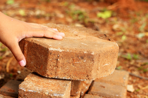 Children caught brown brick - Photo, Image