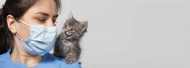 Langes Banner für die Tierklinik. Tierarzt und Kätzchen. Labor und Behandlung von Katzen, Platz für Text. - Foto, Bild