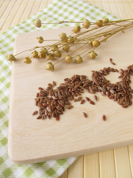 Linseeds and flax - Photo, Image