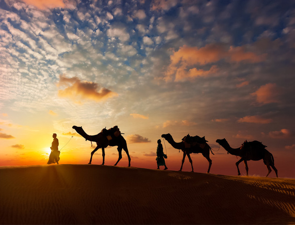 twee cameleers met kamelen - Foto, afbeelding