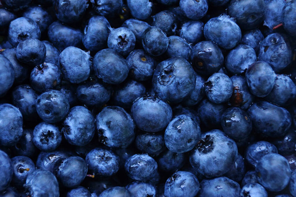 Raw blueberries dark dlue food background. Blueberries close up. - Photo, Image