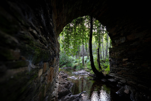 Potok a starý kamenný most se stromem uprostřed otvoru - Fotografie, Obrázek