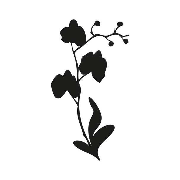vector illustration of an orchid, black and white logo isolated on a white background - Вектор,изображение