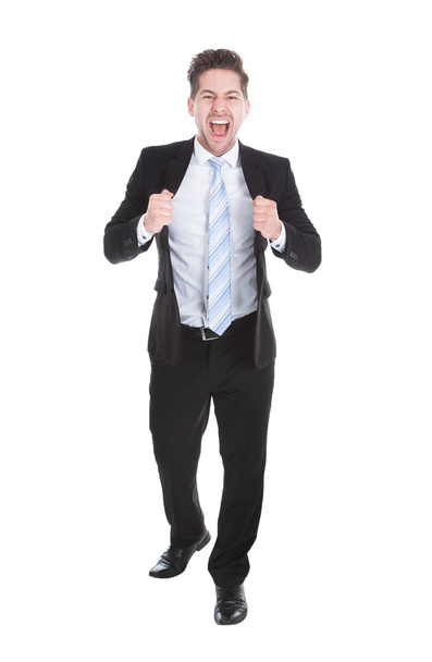 Happy Businessman Standing - Foto, Imagen