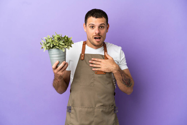 Brazilský zahradník muž drží rostlina přes izolované fialové pozadí překvapené a šokované při pohledu vpravo - Fotografie, Obrázek