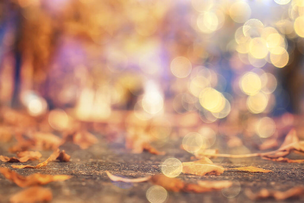 abstract autumn fall background leaves yellow nature october wallpaper seasonal - Foto, Imagen