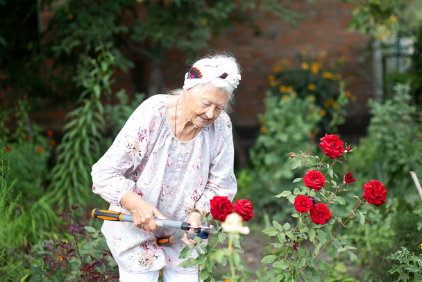 Sarışın, gri saçlı, aktif bir yaşam tarzı olan yaşlı bir kadının portresi güneşli bir yaz gününde bahçede çalışırken emekliliğinin tadını çıkarıyor. - Fotoğraf, Görsel