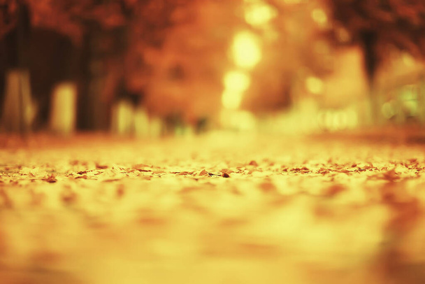 abstracto borroso otoño fondo parque, caída de la ciudad naturaleza octubre - Foto, Imagen