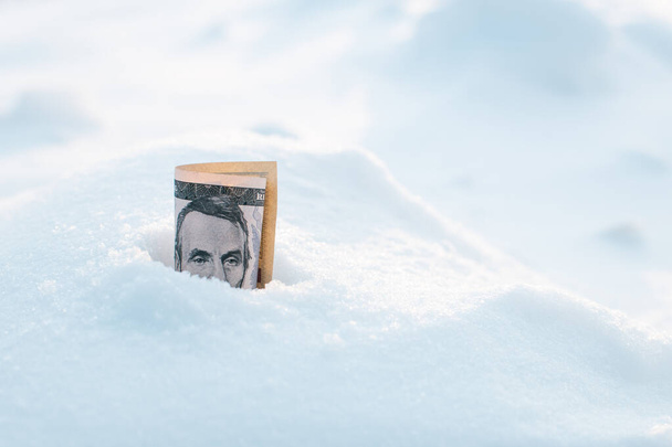 zusammengerollte fünf Dollar werden in den Schnee gesteckt, gefrorener Dollar - Foto, Bild