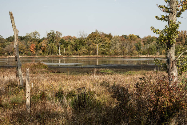 Grand Marsh v národním parku Indiana Diunes - Fotografie, Obrázek