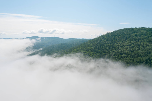 山頂上の雲の中を飛ぶ。高いピーク素晴らしい朝の日の出自然景観 - 写真・画像