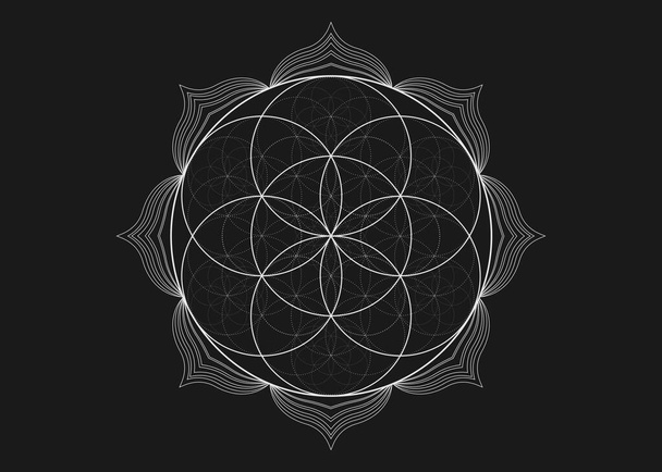 Seed Flower of life lotus icon, yantra mandala sacred geometry, tattoo symbol of harmony and balance. Mystical talisman, white lines vector isolated on black background  - Vector, Image