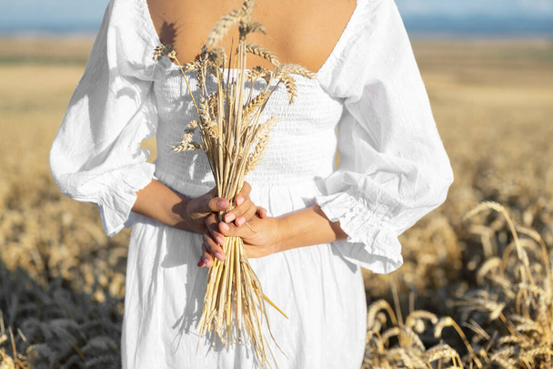 Vrouw in witte jurk staat in het veld met tarwe. Persoon houdt in handen bundel van rijpe spikeletten. Oogstseizoen. - Foto, afbeelding