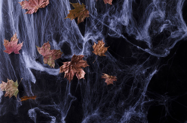 ハロウィンの背景。暗いキーで乾燥した葉を持つウェブ、選択的な焦点 - 写真・画像