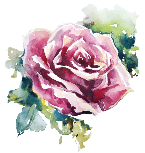 Watercolor rose. Flower painting. Vector EPS 10. - Vecteur, image