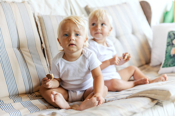 Bliźniaki na kanapie jedzące ciasteczka. Słodkie dzieci w białym ciele dziecka trzymać ciasto w dłoni na kanapie. Uważnie patrzą, gdzie są ich rodzice. Jasnowłosy, niebieskie oczy, maluchy - Zdjęcie, obraz